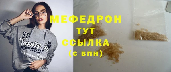 индика Новодвинск