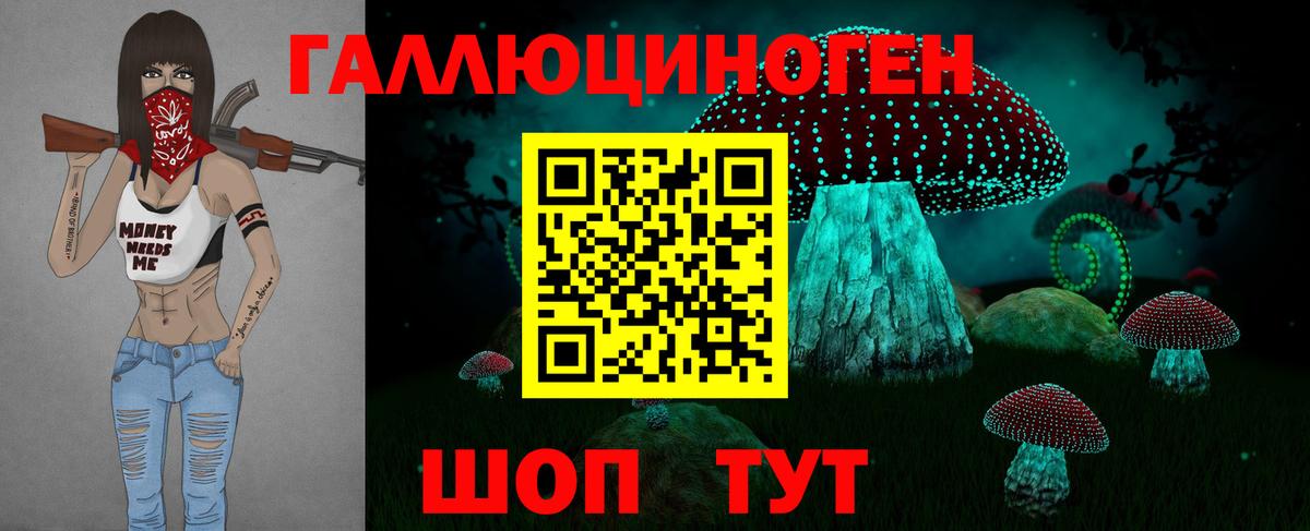 купить наркотики цена  Псилоцибиновые грибы Psilocybe  Вход с VPN  Кировск 