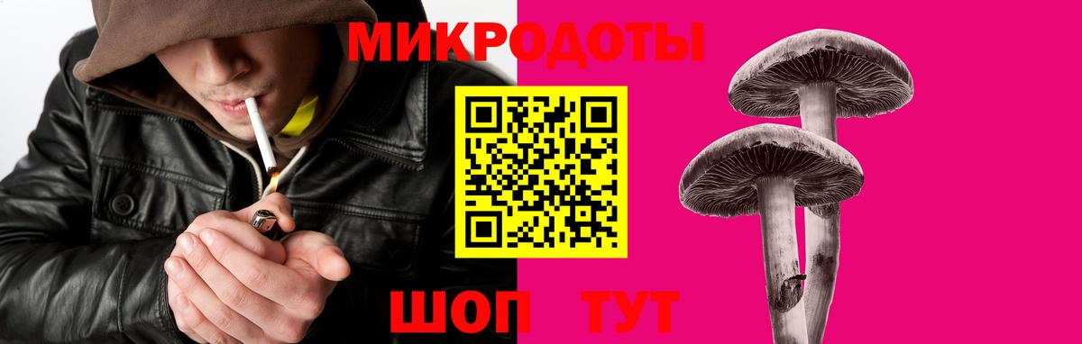 Галлюциногенные грибы мухоморы Кировск