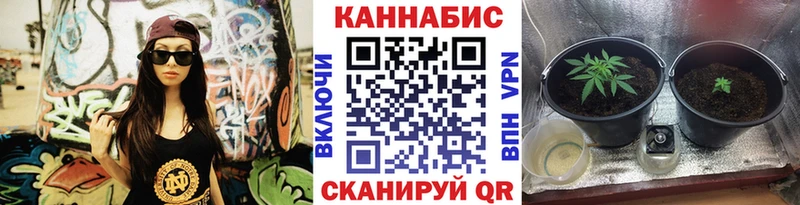 дарк нет состав  Кировск  Бошки марихуана OG Kush 